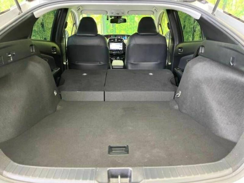 PRIUS-10