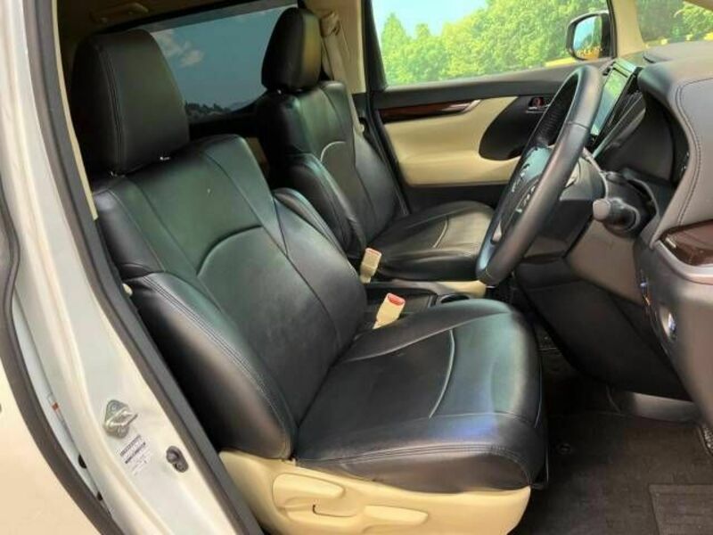 ALPHARD-8