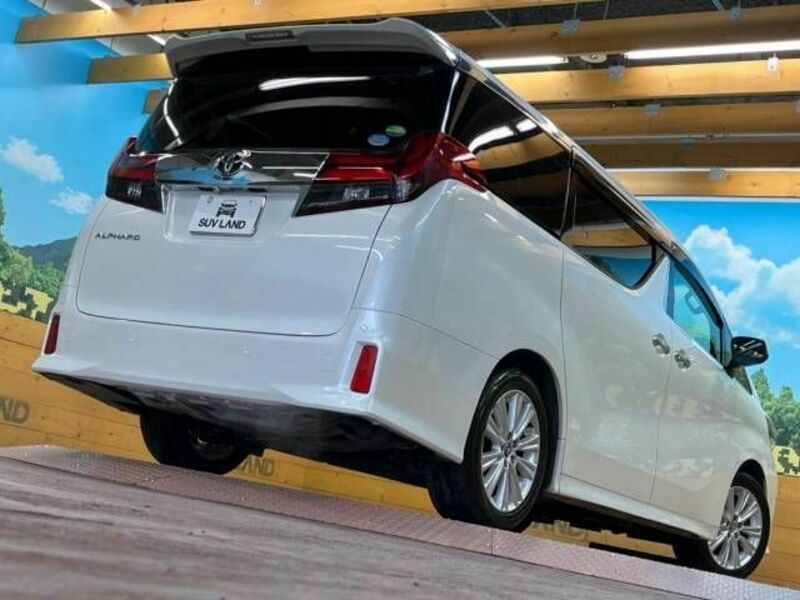 ALPHARD-17