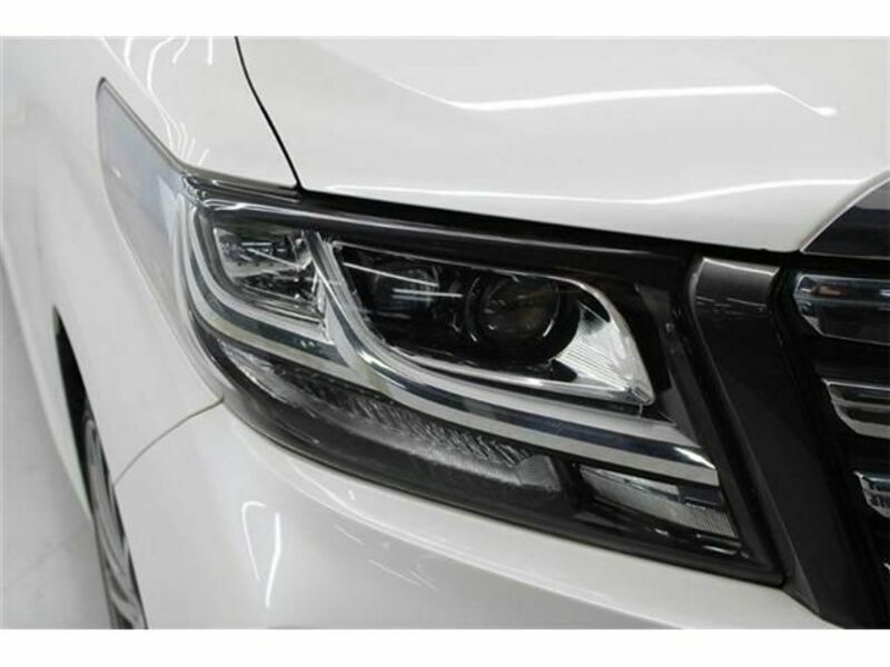 ALPHARD-9