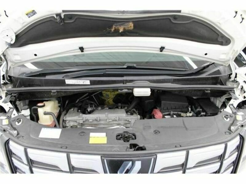 ALPHARD-17