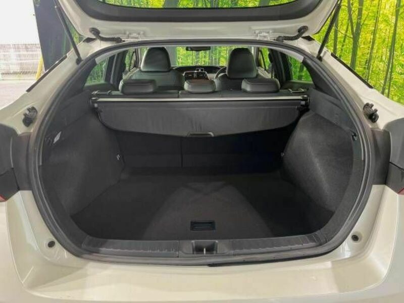 PRIUS-9