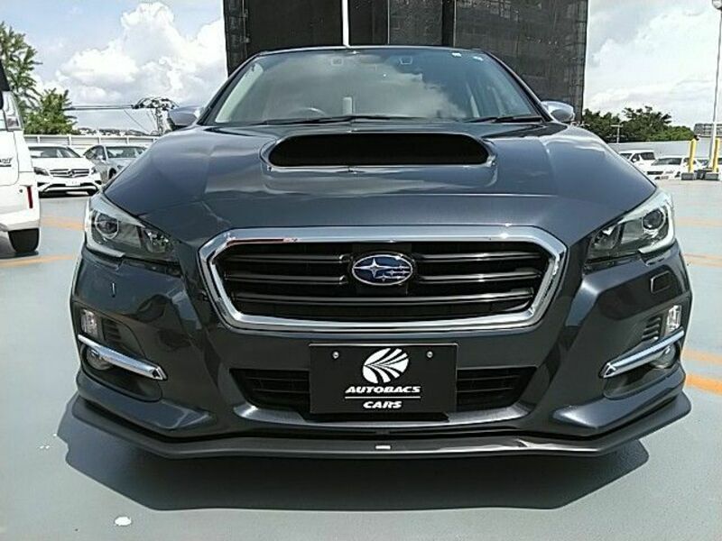LEVORG