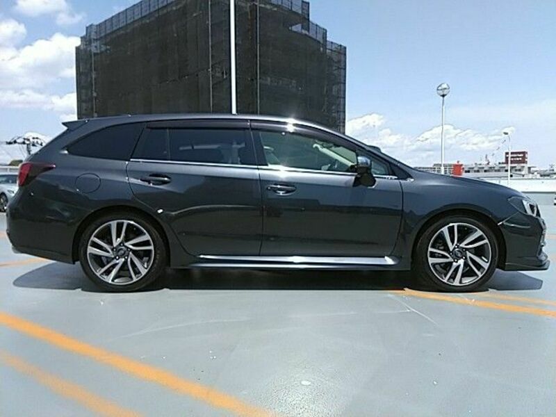 LEVORG