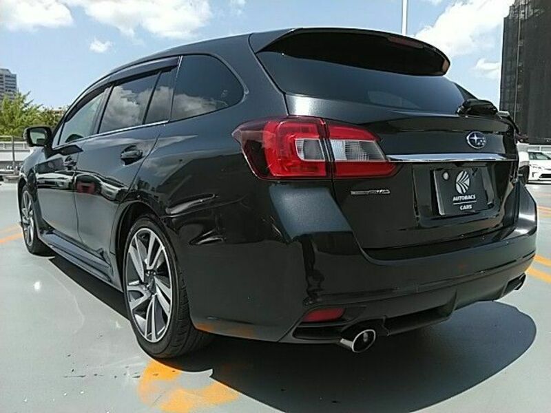 LEVORG