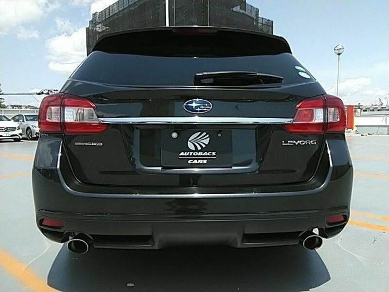 LEVORG