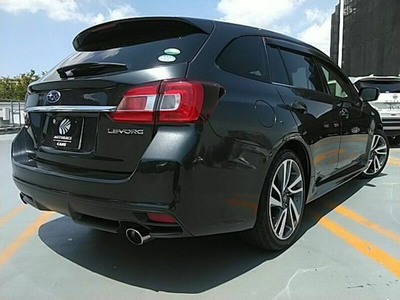 LEVORG