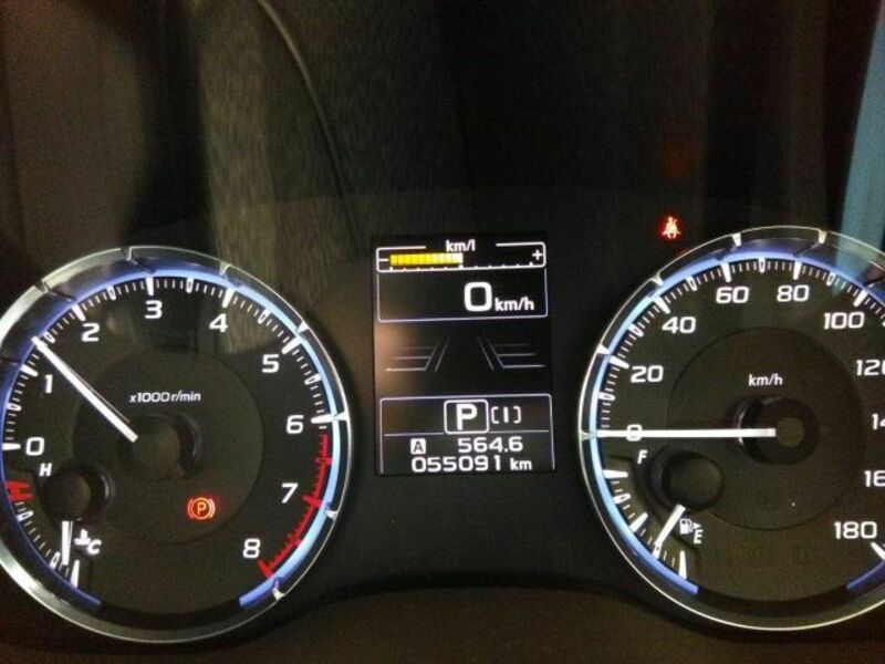 LEVORG