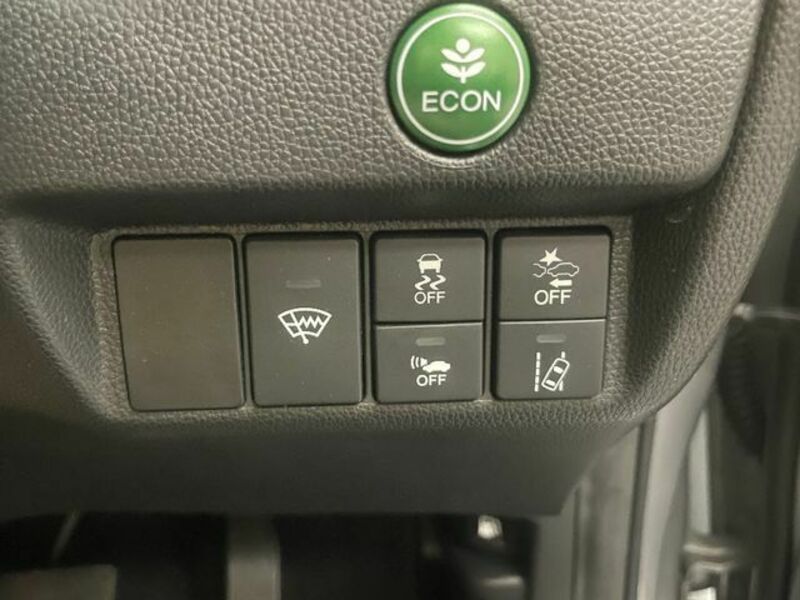 FIT HYBRID-19