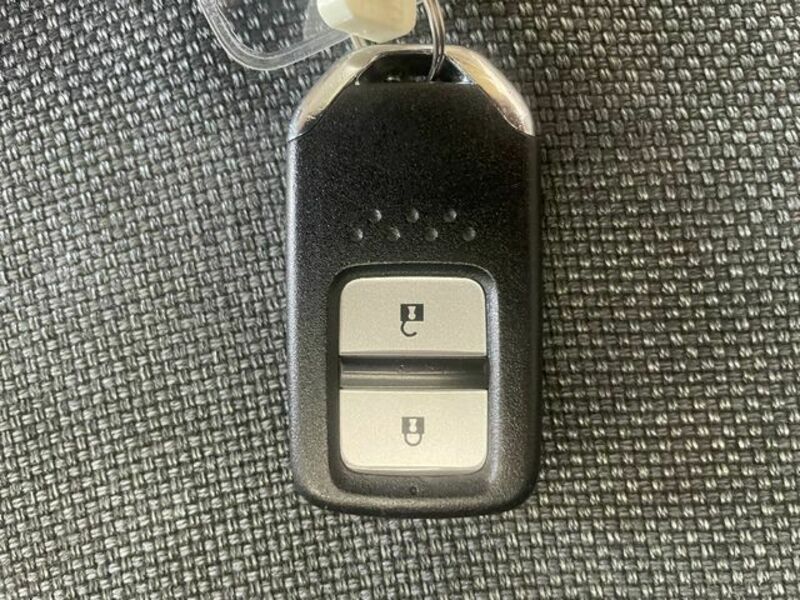 FIT HYBRID-21