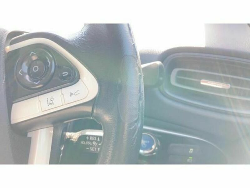 PRIUS-19