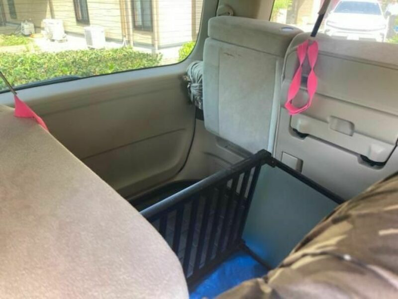 ALPHARD-15