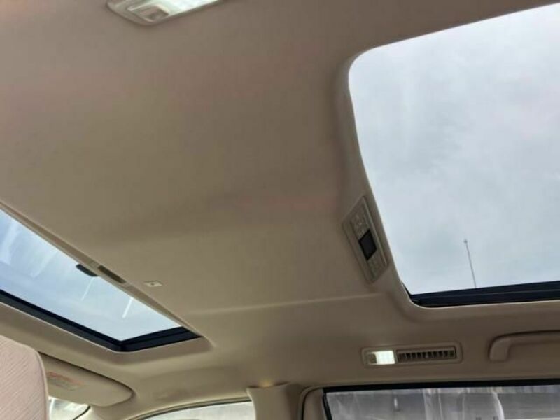 ALPHARD-18
