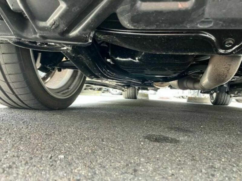 ALPHARD-28