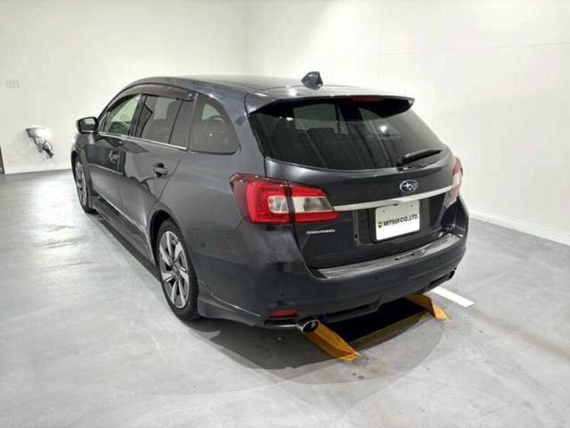 LEVORG
