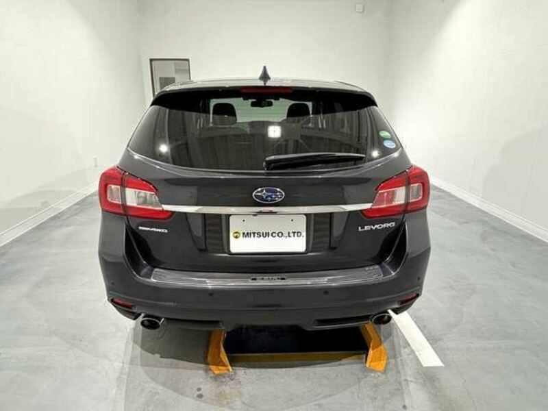 LEVORG