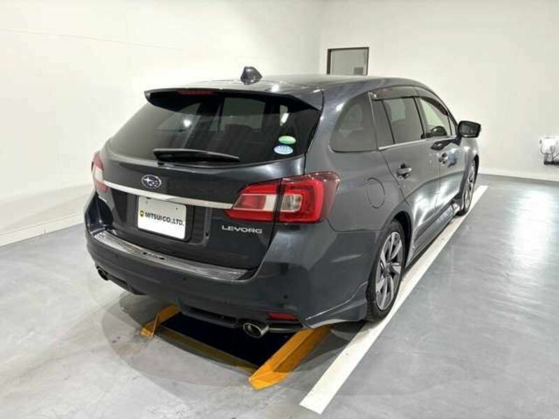 LEVORG
