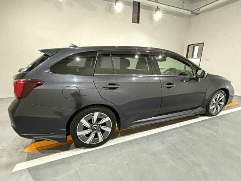LEVORG