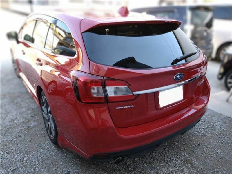 LEVORG