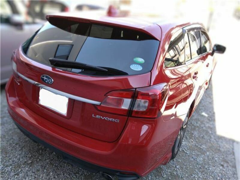 LEVORG