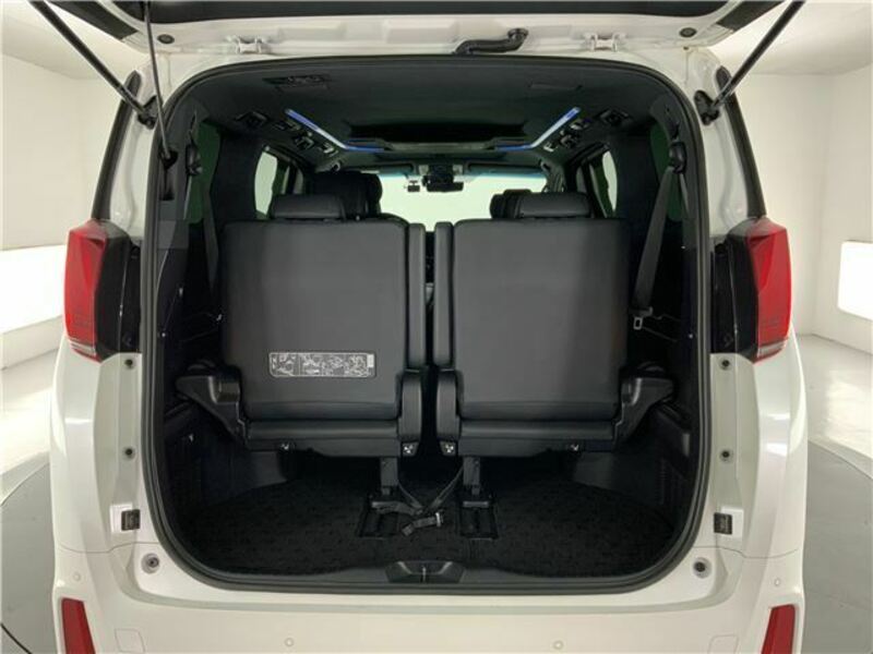 ALPHARD-8