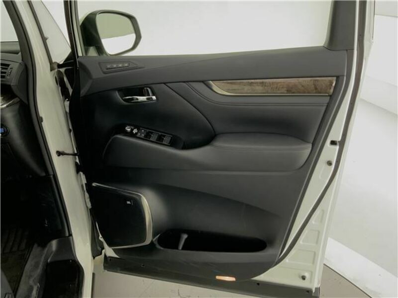 ALPHARD-12