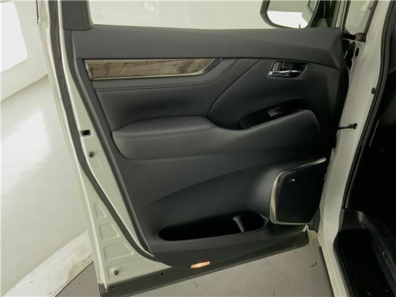 ALPHARD-13