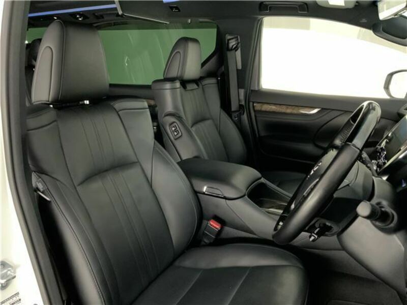 ALPHARD-16