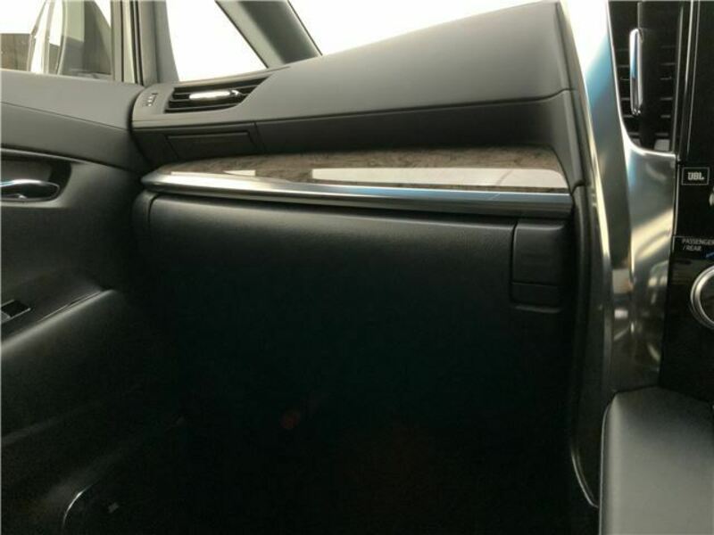 ALPHARD-41