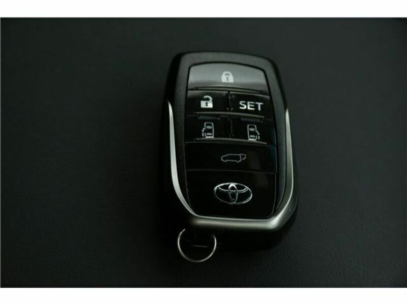 ALPHARD-45