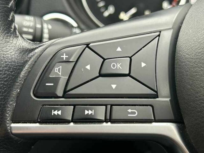 X-TRAIL-16