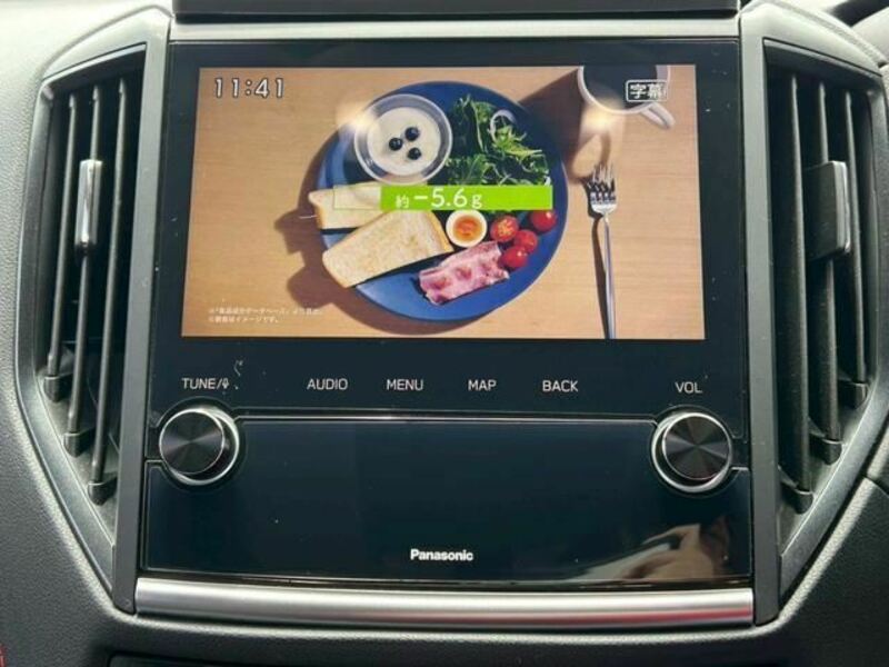 FORESTER-8