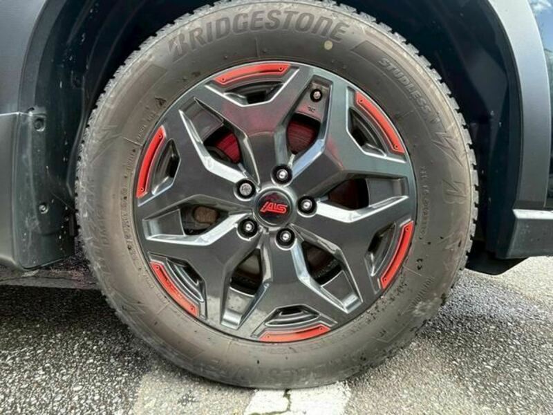 FORESTER-19