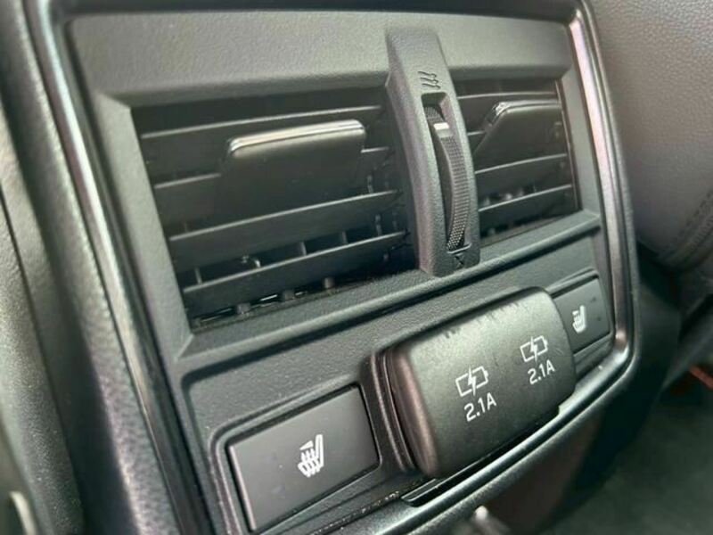FORESTER-24