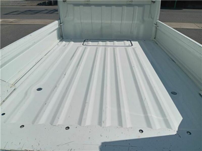 CARRY TRUCK-20
