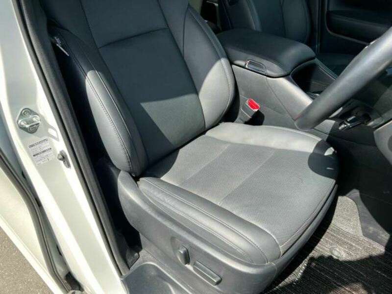 ALPHARD-19