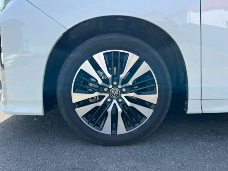 ALPHARD-25