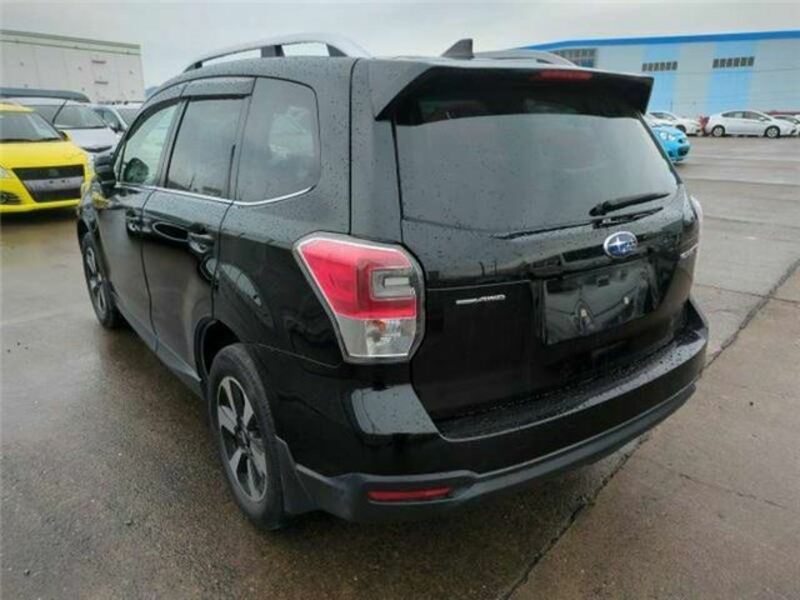 FORESTER