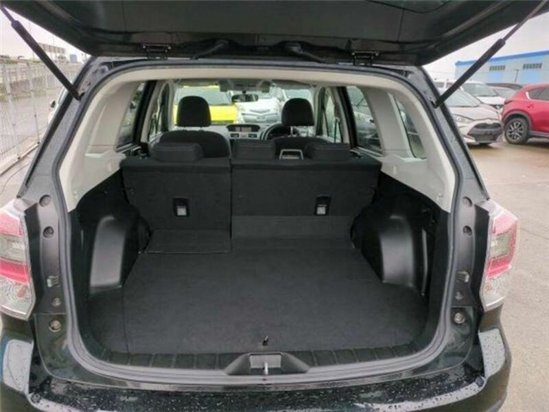FORESTER