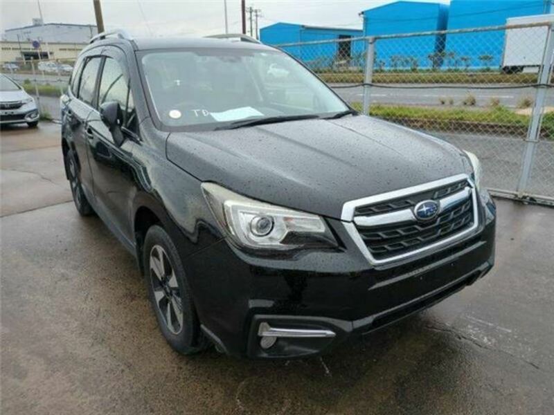 FORESTER