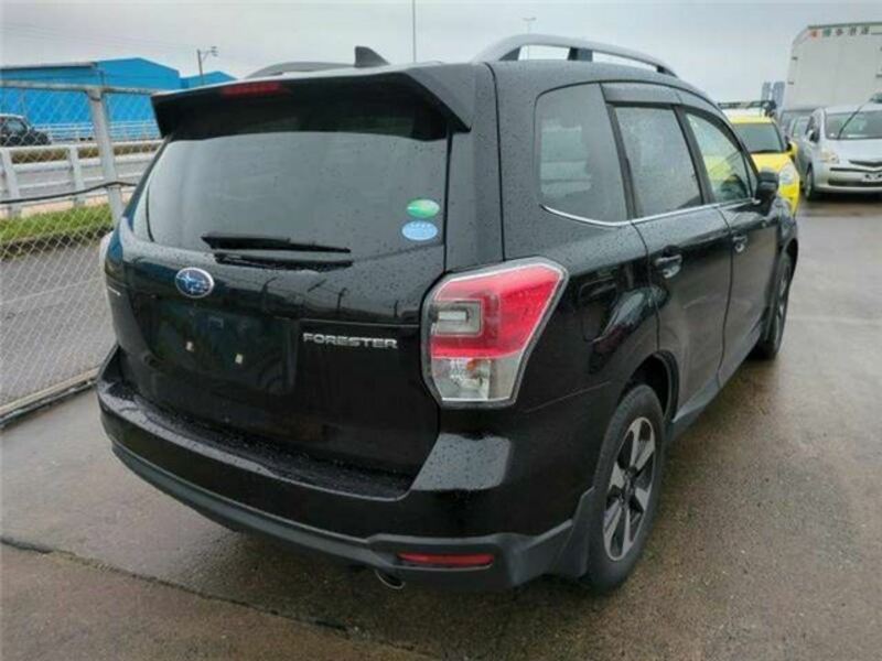 FORESTER