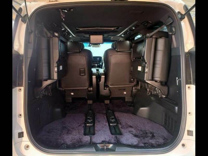 ALPHARD-11