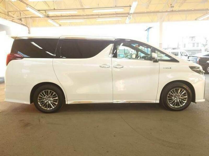 ALPHARD-13