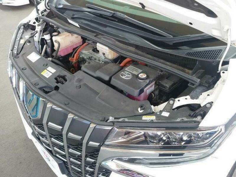 ALPHARD-17