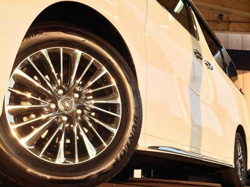 ALPHARD-19