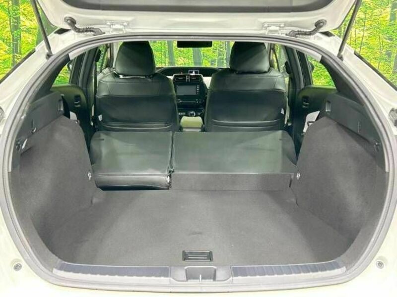 PRIUS-9