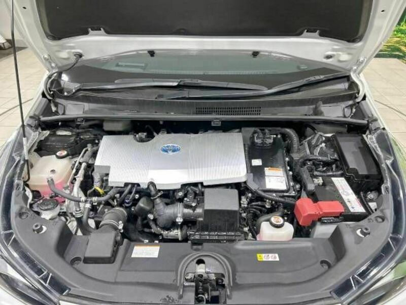 PRIUS-17
