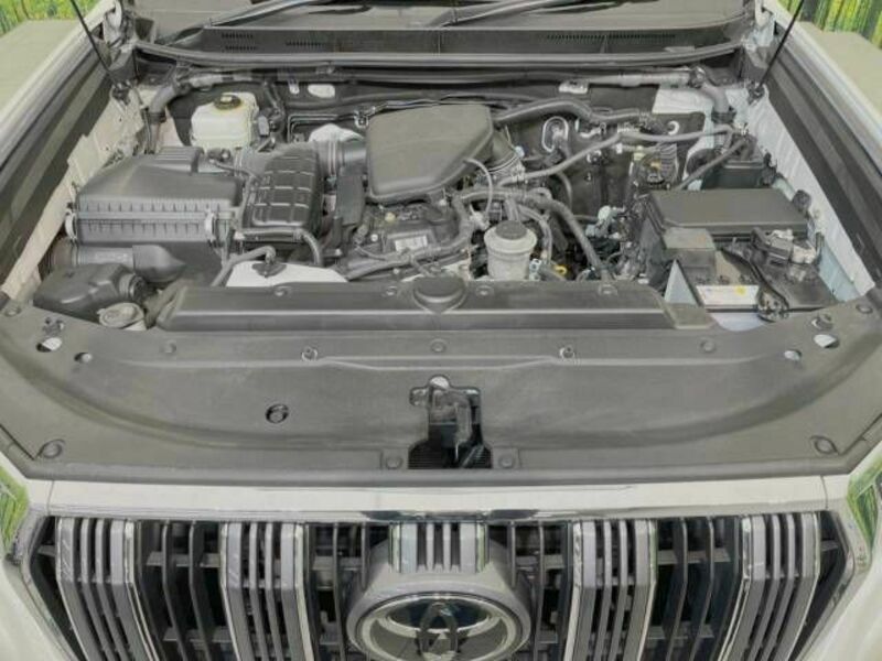 LAND CRUISER PRADO-18