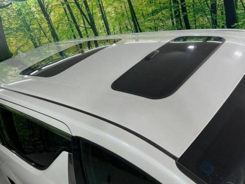ALPHARD-2