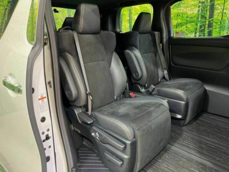 ALPHARD-10